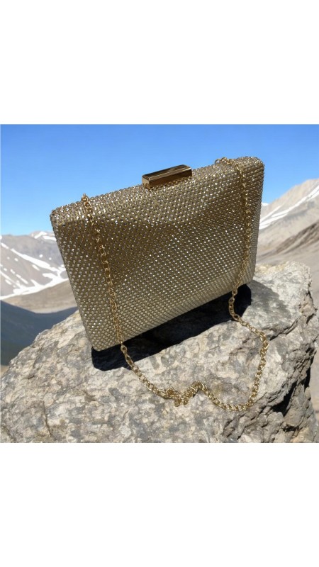 CARTERA PIEDRAS BRILLO ORO 2