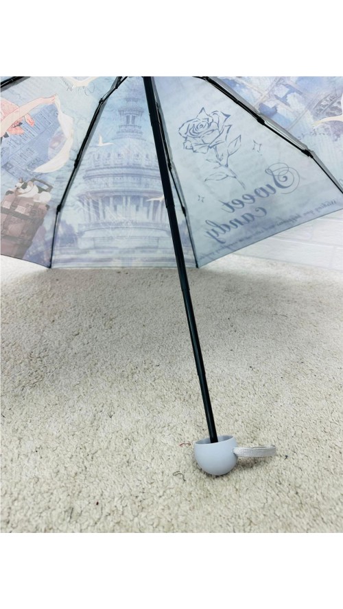 PARAGUA SWETT CON FUNDA AZUL