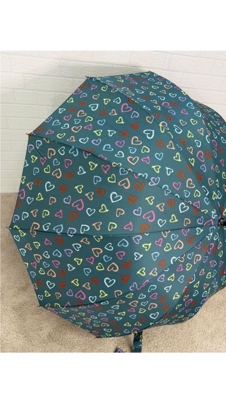 PARAGUA CORAZON 12 BARILLA VERDE 2
