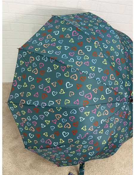 PARAGUA CORAZON 12 BARILLA VERDE