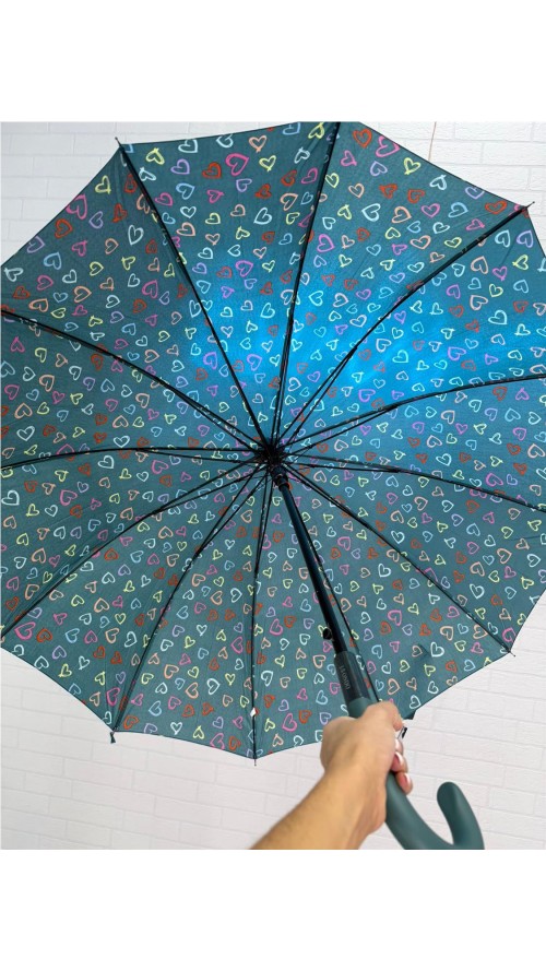 PARAGUA CORAZON 12 BARILLA VERDE PARAGUA CORAZON 12 BARILLA VERDE