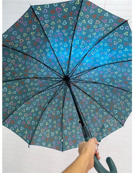 PARAGUA CORAZON 12 BARILLA VERDE