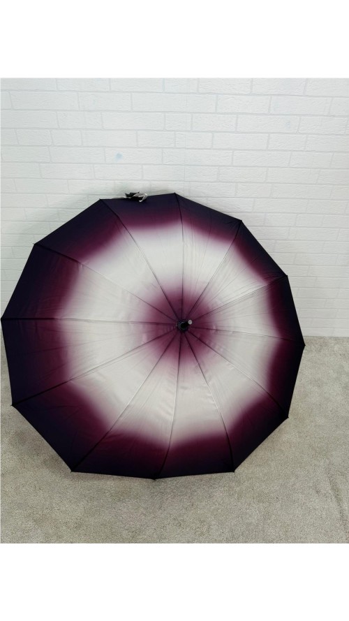 PARAGUA DIFUMINADO 12 BARILLA MORADO PARAGUA DIFUMINADO 12 BARILLA MORADO