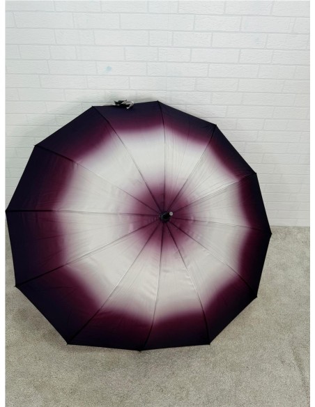 PARAGUA DIFUMINADO 12 BARILLA MORADO
