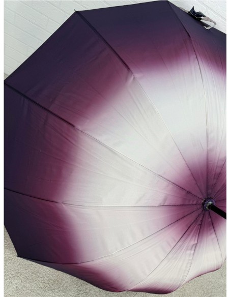 PARAGUA DIFUMINADO 12 BARILLA MORADO