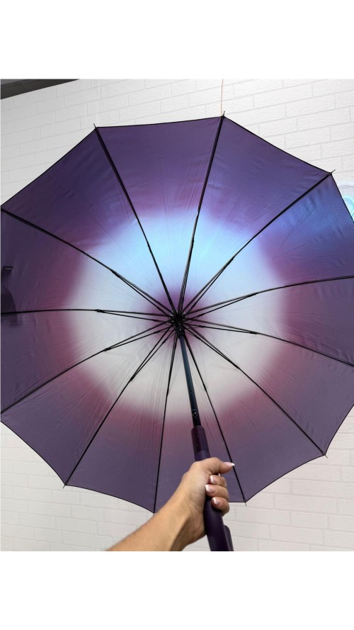 PARAGUA DIFUMINADO 12 BARILLA MORADO PARAGUA DIFUMINADO 12 BARILLA MORADO