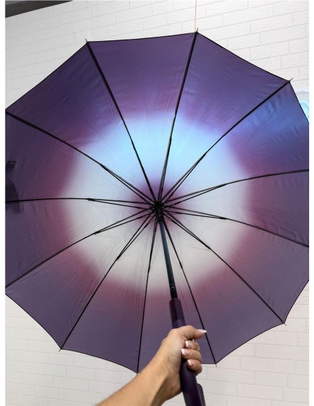 PARAGUA DIFUMINADO 12 BARILLA MORADO