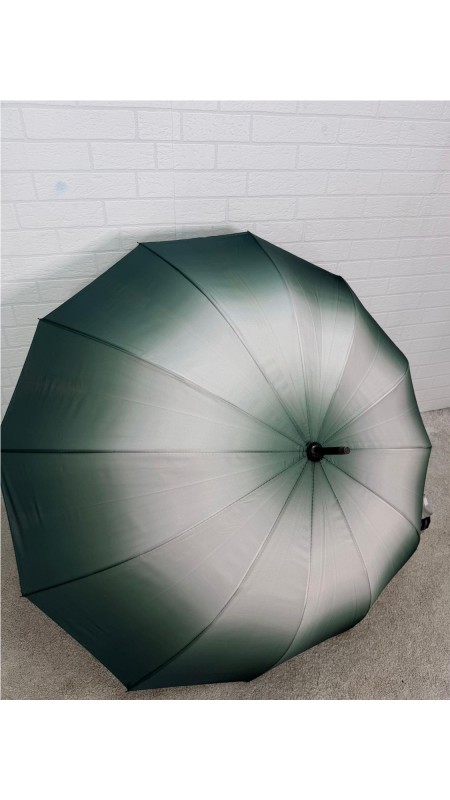PARAGUA DIFUMINADO 12 BARILLA VERDE