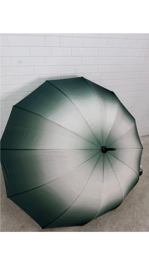 PARAGUA DIFUMINADO 12 BARILLA VERDE PARAGUA DIFUMINADO 12 BARILLA VERDE