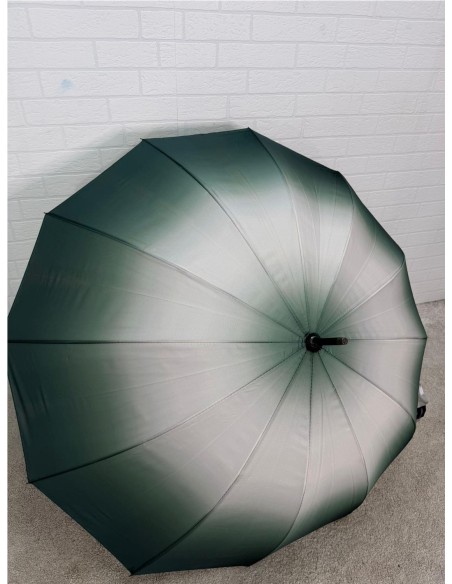 PARAGUA DIFUMINADO 12 BARILLA VERDE
