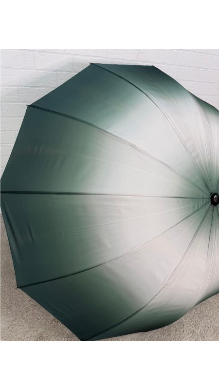 PARAGUA DIFUMINADO 12 BARILLA VERDE 2