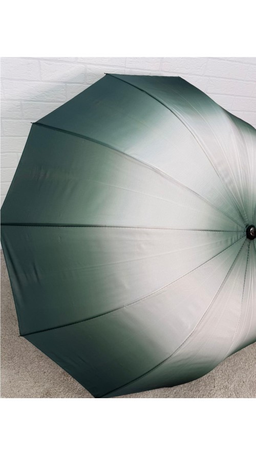 PARAGUA DIFUMINADO 12 BARILLA VERDE PARAGUA DIFUMINADO 12 BARILLA VERDE