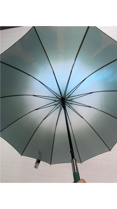 PARAGUA DIFUMINADO 12 BARILLA VERDE PARAGUA DIFUMINADO 12 BARILLA VERDE