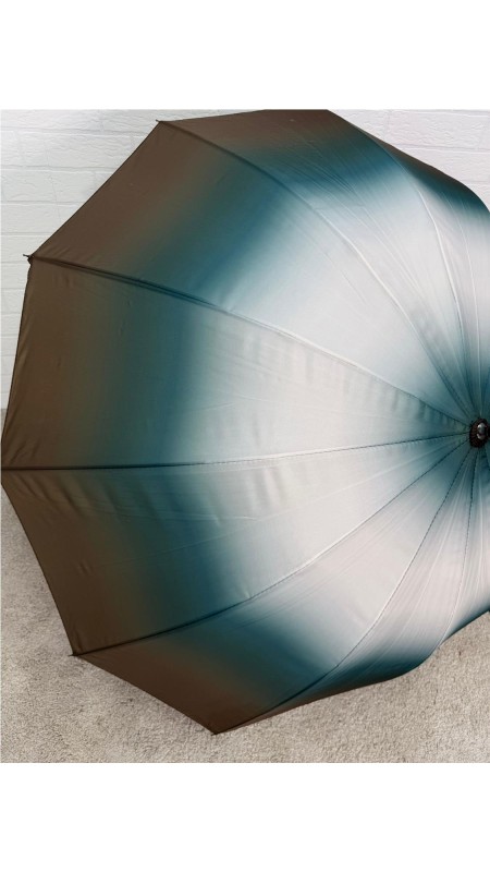 PARAGUA DIFUMINADO 12 BARILLA KAKY 2