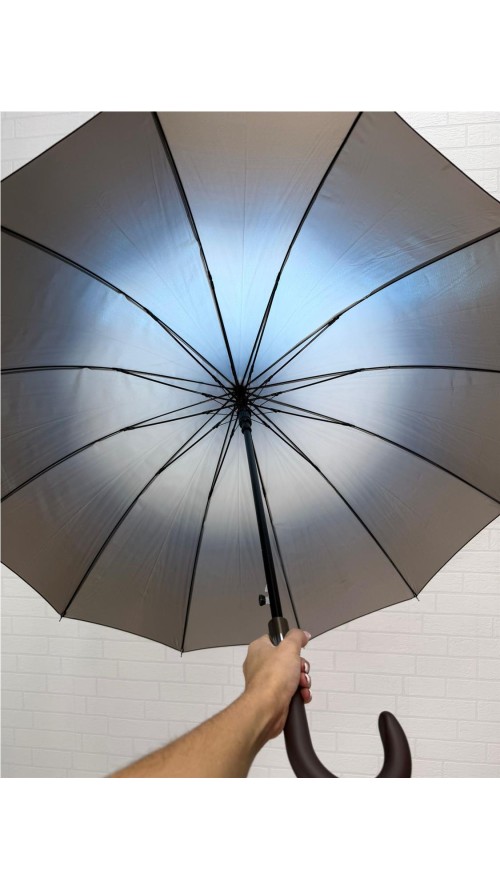 PARAGUA DIFUMINADO 12 BARILLA MARRON PARAGUA DIFUMINADO 12 BARILLA MARRON