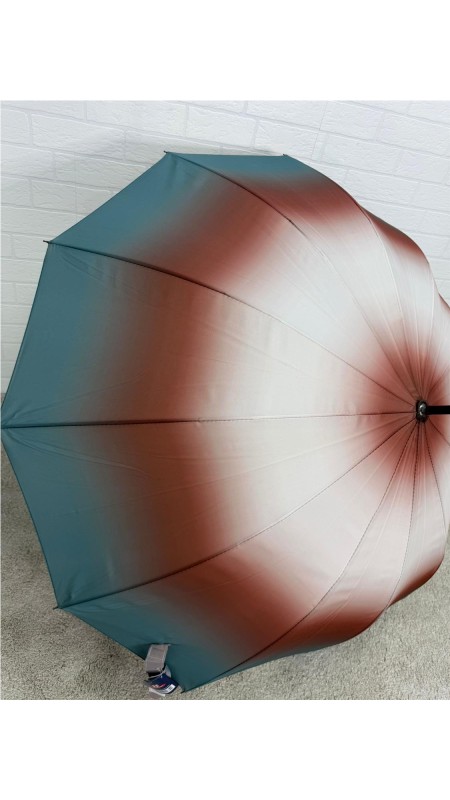 PARAGUA DIFUMINADO 12 BARILLA AGUAMAR 2