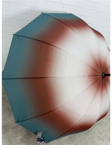 PARAGUA DIFUMINADO 12 BARILLA AGUAMAR