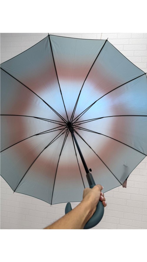 PARAGUA DIFUMINADO 12 BARILLA AGUAMAR PARAGUA DIFUMINADO 12 BARILLA AGUAMAR