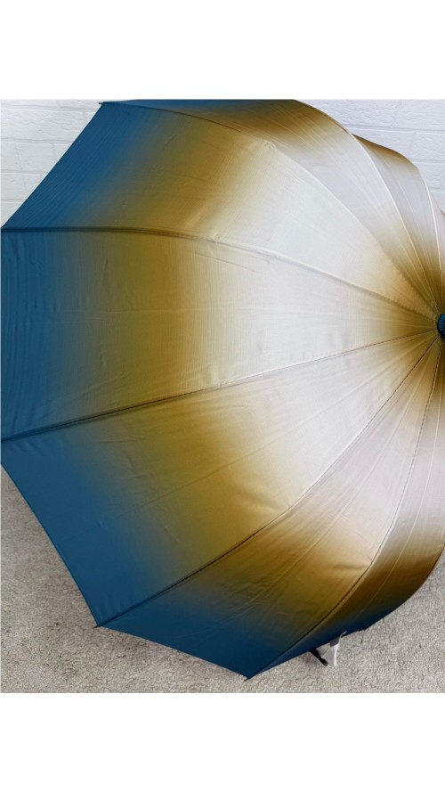 PARAGUA DIFUMINADO 12 BARILLA... PARAGUA DIFUMINADO 12 BARILLA...