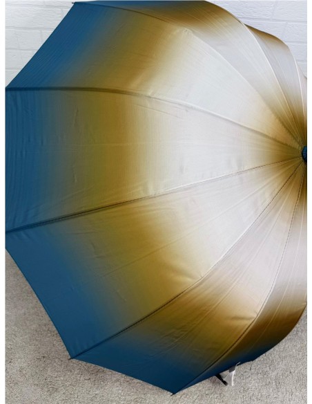 PARAGUA DIFUMINADO 12 BARILLA PETROLEONEGRO