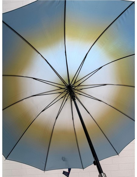 PARAGUA DIFUMINADO 12 BARILLA PETROLEONEGRO