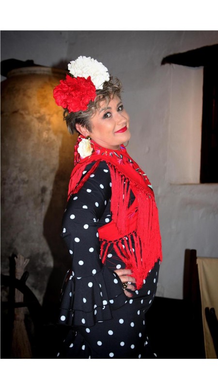 VESTIDO DE FLAMENCA ROSA NEGRO 2