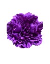 FLOR 57556 MORADO