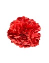 FLOR 57556 CORAL