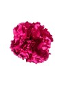 FLOR 57556 FUSCIA