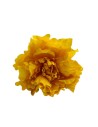 FLOR 57556 AMARILLO