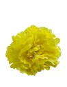 FLOR 57556 AMARILLO CLARO